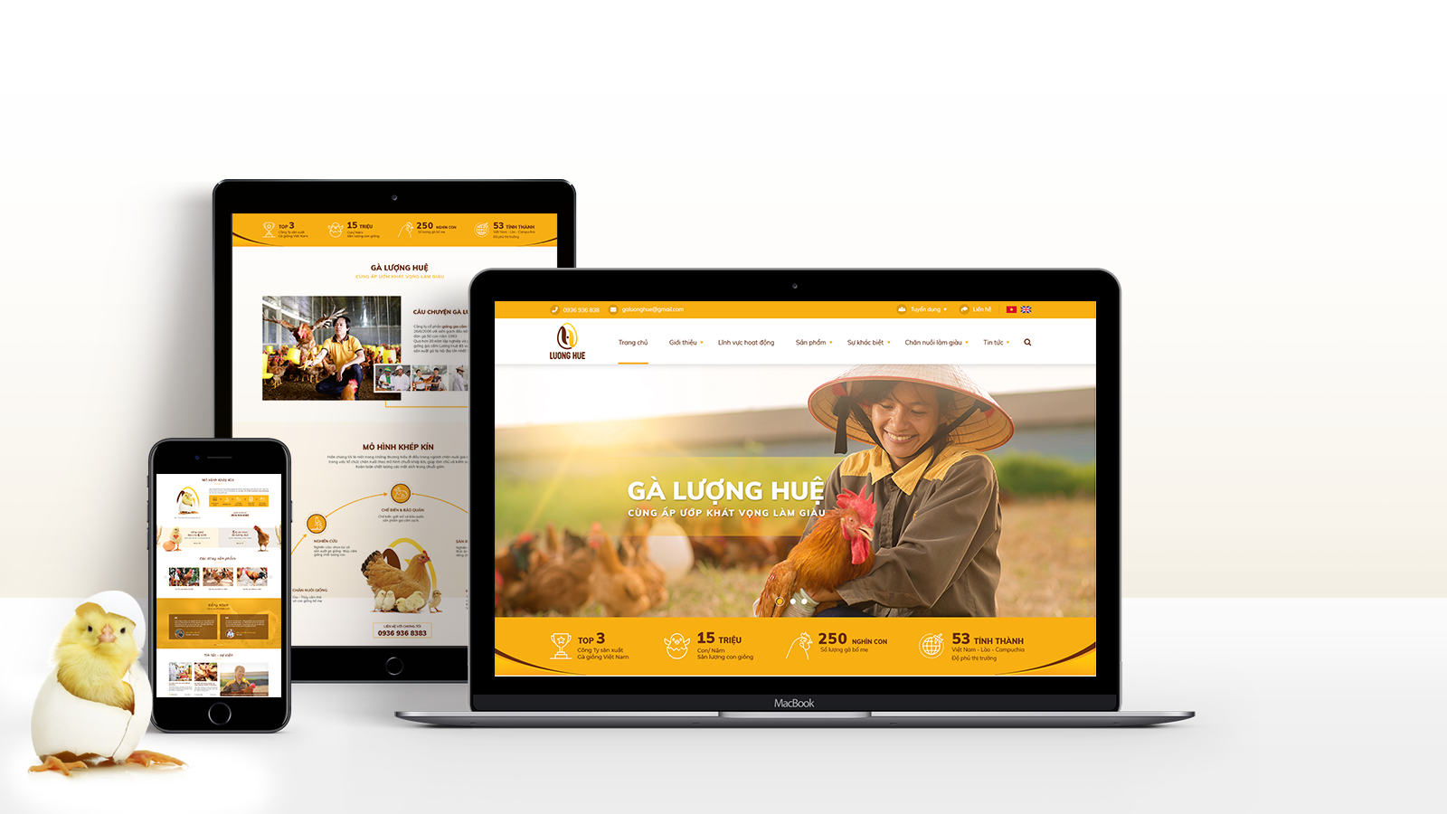 Thiết website tại Hà Nam - Công ty thiết kế web Vinaweb